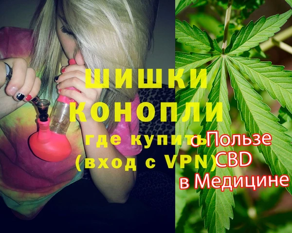стаф Абинск