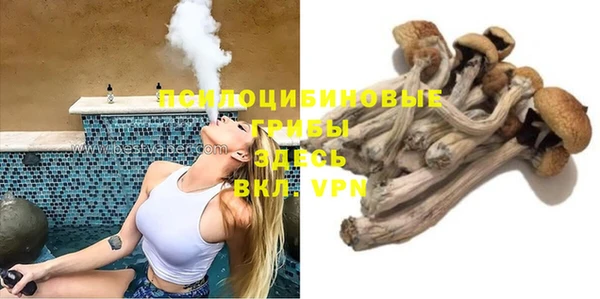 синтетический гашиш Алексин