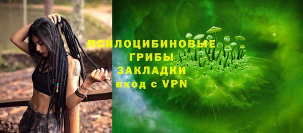 стаф Абинск