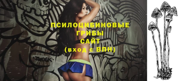 стаф Абинск