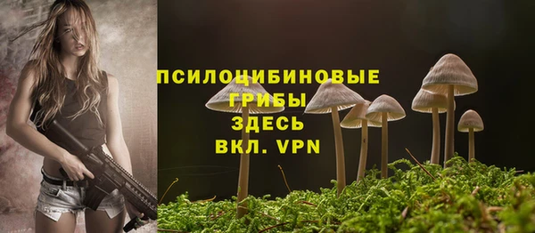стаф Абинск