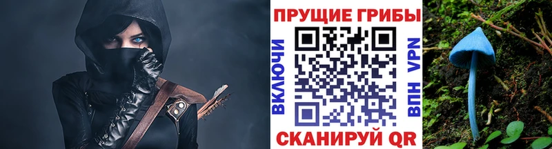 блэк спрут как зайти  купить  цена  Горячеводский  Галлюциногенные грибы прущие грибы 